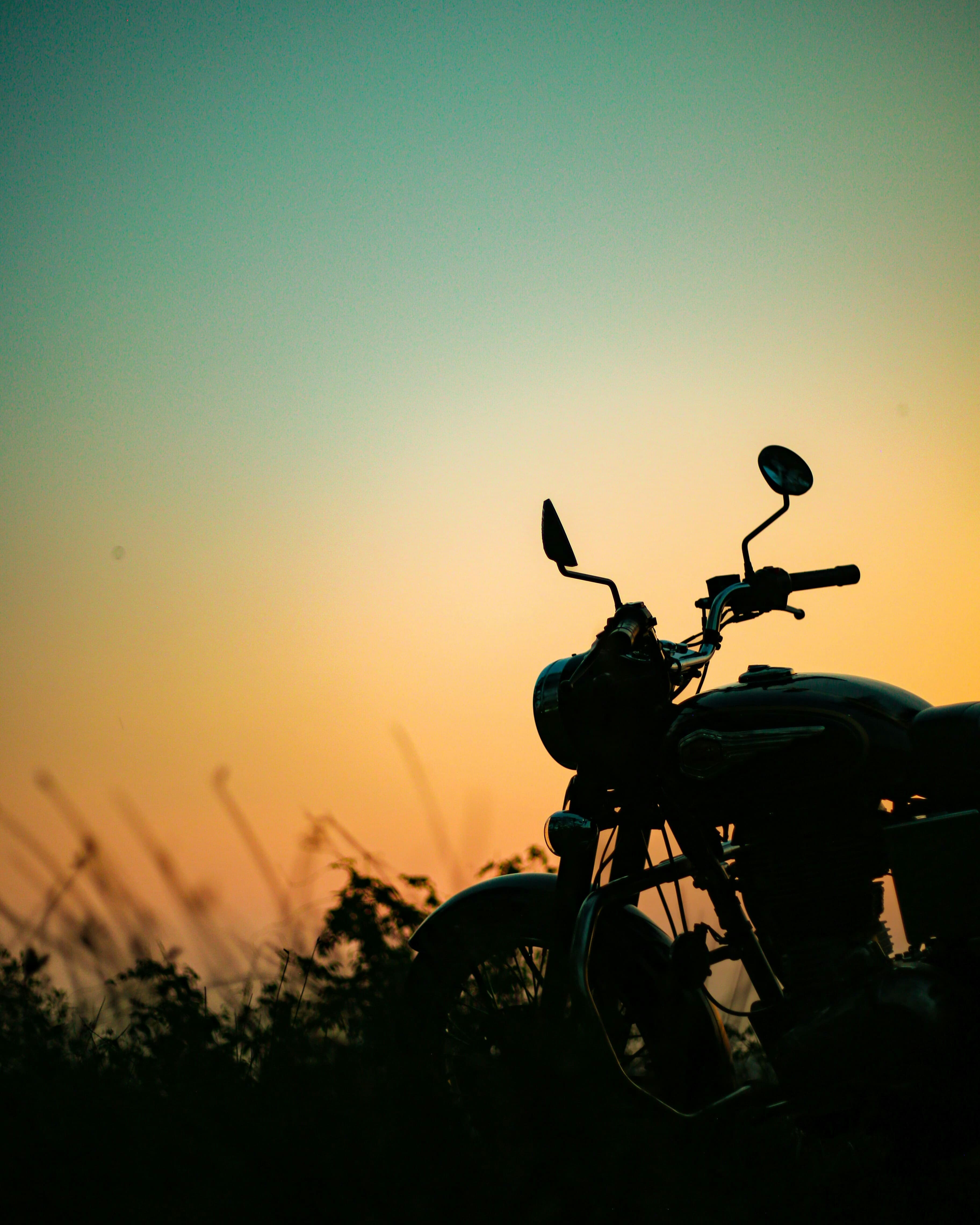The Ride