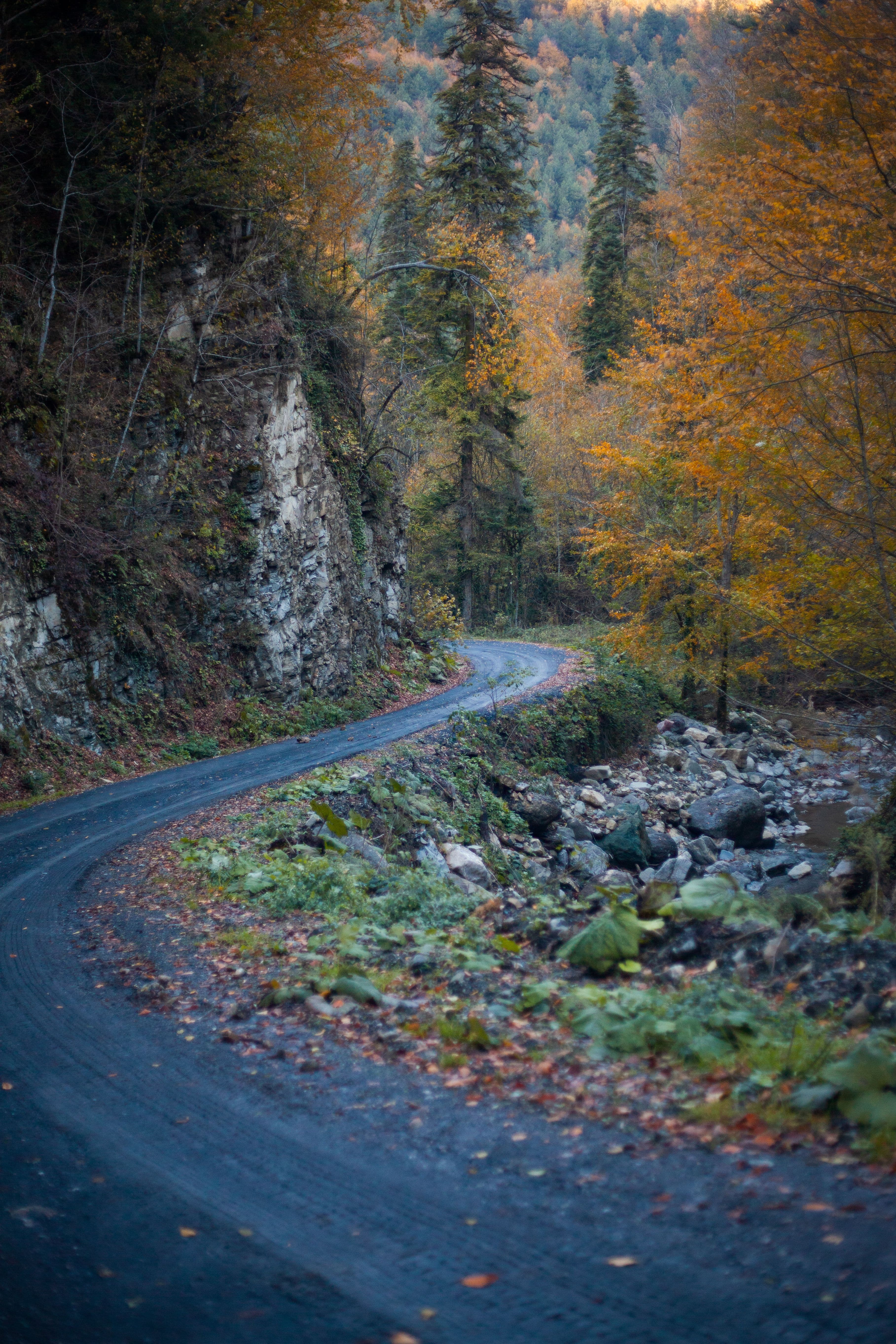 The Road